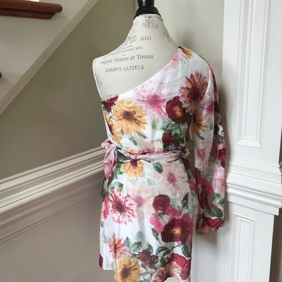 NWT La Maison Talulah Garland Mini Dress Womens Small Cream Red Floral One Arm